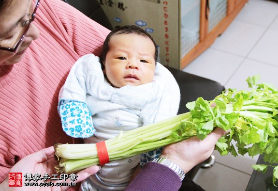 剃胎毛、滿月剃頭、嬰兒剃頭、嬰兒理髮、嬰兒剃髮、嬰兒剃胎毛、嬰兒滿月剃頭、寶寶剃頭、剃胎毛儀式、剃胎毛吉祥話、滿月剃頭儀式、滿月剃頭吉祥話、寶寶剃胎毛、寶寶滿月剃頭理髮、 新北三重區剃胎毛、新北三重區滿月剃頭、 新北三重區嬰兒剃頭剃胎毛、新北三重區嬰兒理髮、新北三重區嬰兒剃髮、吳寶寶(新北三重區到府嬰兒寶寶滿月剃頭理髮、免費到府嬰兒剃胎毛儀式吉祥話)。到府剃頭剃胎毛主持、專業拍照、DVD光碟、證書。★購買「臍帶章、肚臍章、胎毛筆刷印章」贈送：剃頭、收涎、抓周，三選一。2016.01.10 照片11